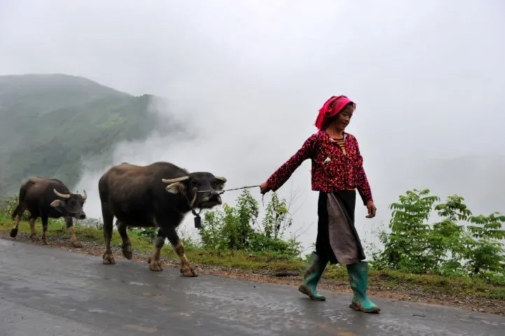 Ha Giang Pass Vietnam